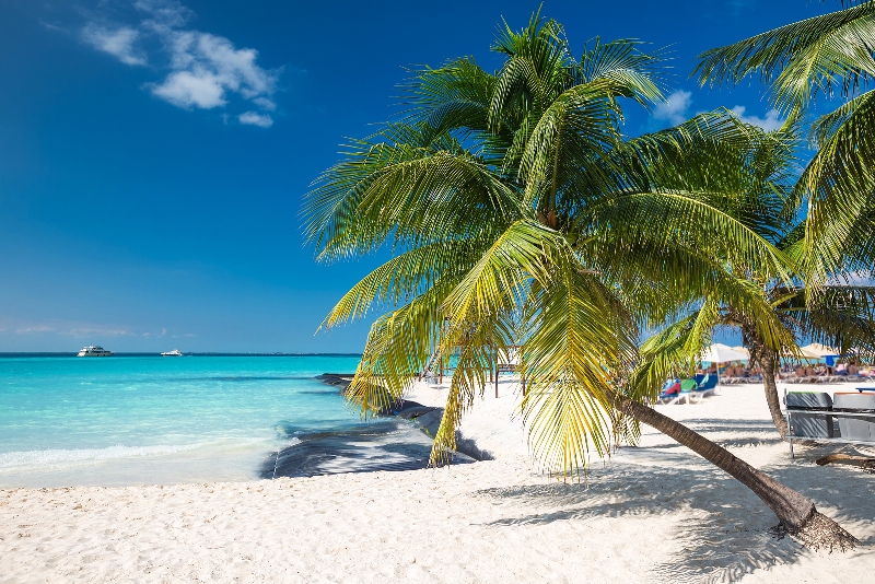 Tripps Travel Network Suggests Specializing Your Vacation Destination