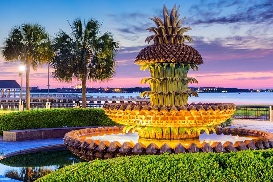 Tripps Travel Network Top 3 Things to Do in Charleston