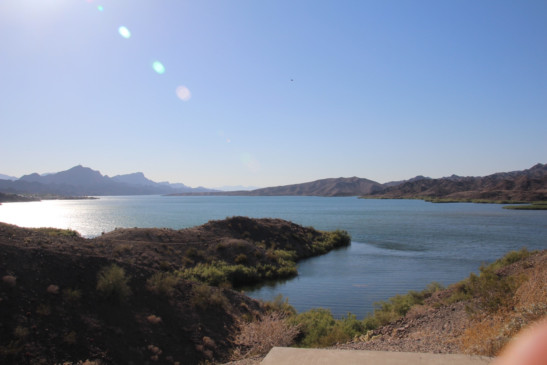 Tripps Travel Network Reviews Lake Havasu AZ (1)