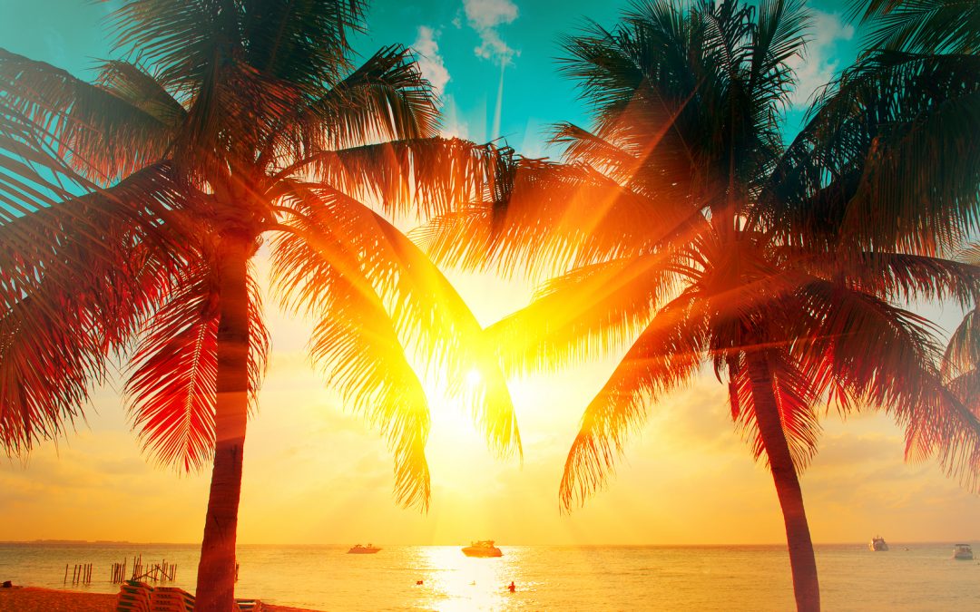 Tripps Travel Network Reviews the Natural Beauty of the Caribbean