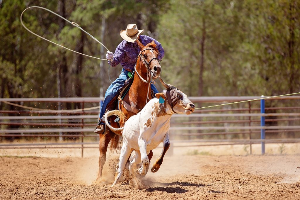 A cowboy riding a horse