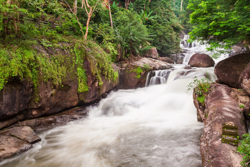 Amazing wild nature view of mountain forest landscape by Tripps Travel Network